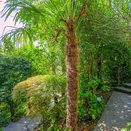 Apartmán Casa Cora *